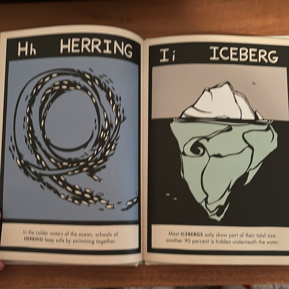 B is for Bear by Hannah Viano alphabet book PNW - Picture 7 of 8